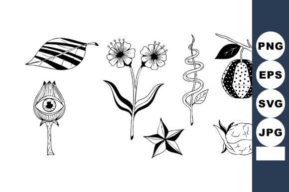 Medical Botanical Vector Set with Styliz
